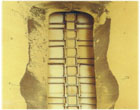 Chain feeder lining